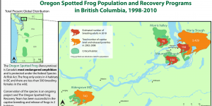 A thematic map of Oregon Spotted Frog Population and Recovery Programs in BC 1998-2010 showing populations of frogs in their habitats